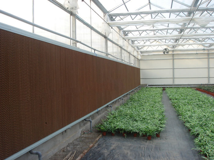 濕簾墻濕簾降溫系統(tǒng)